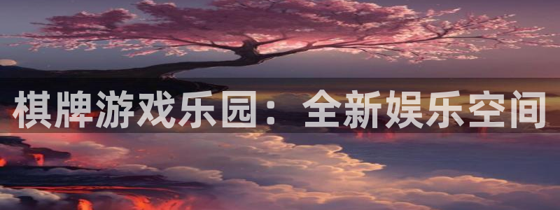 新航娱乐