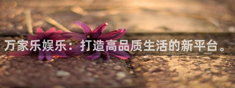 新航娱乐官网登录入口