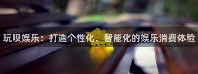 新航娱乐