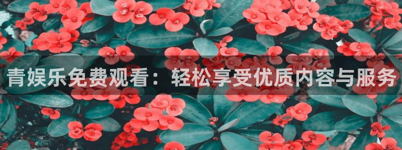 新航娱乐官网登录入口