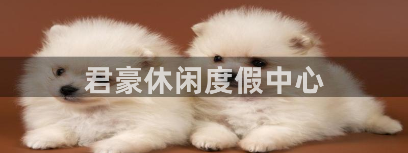 新航娱乐注册