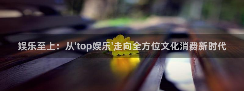 新航娱乐登录地址