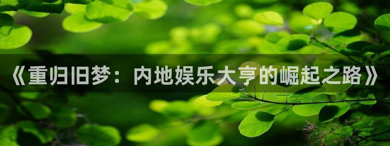 新航娱乐注册