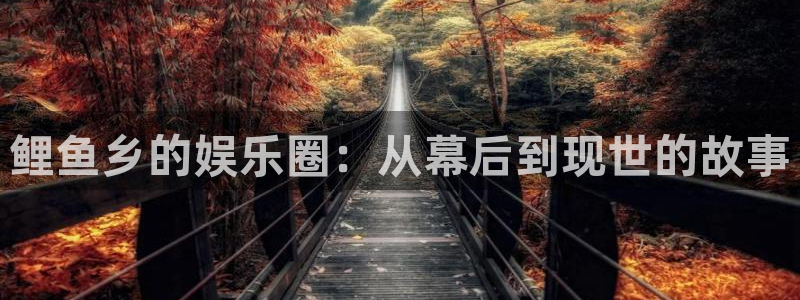 新航娱乐登录地址
