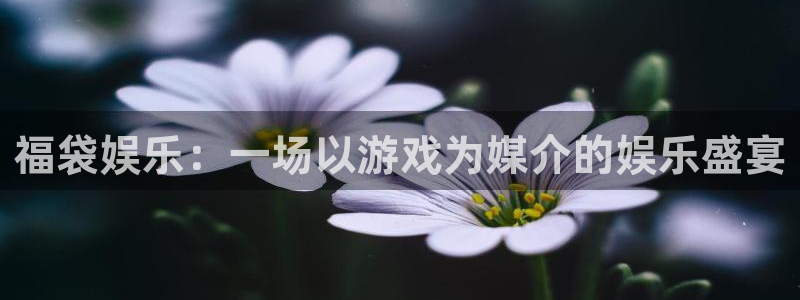 新航娱乐