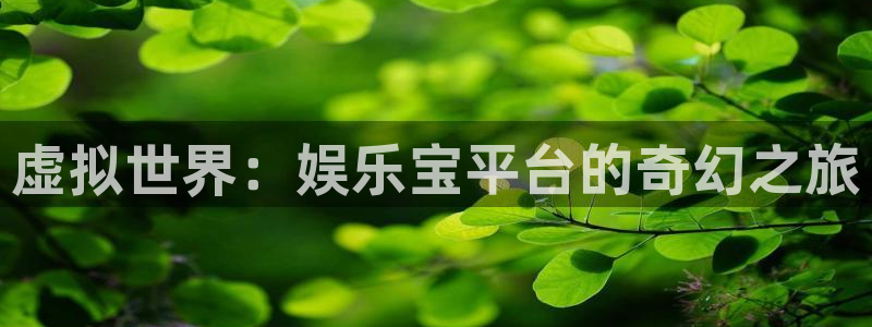 新航娱乐官网